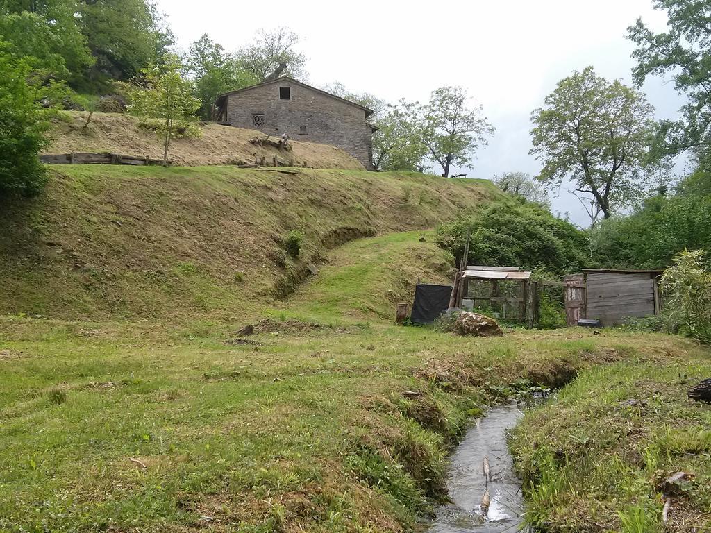 Mimmo'S Holiday House San Godenzo Екстер'єр фото