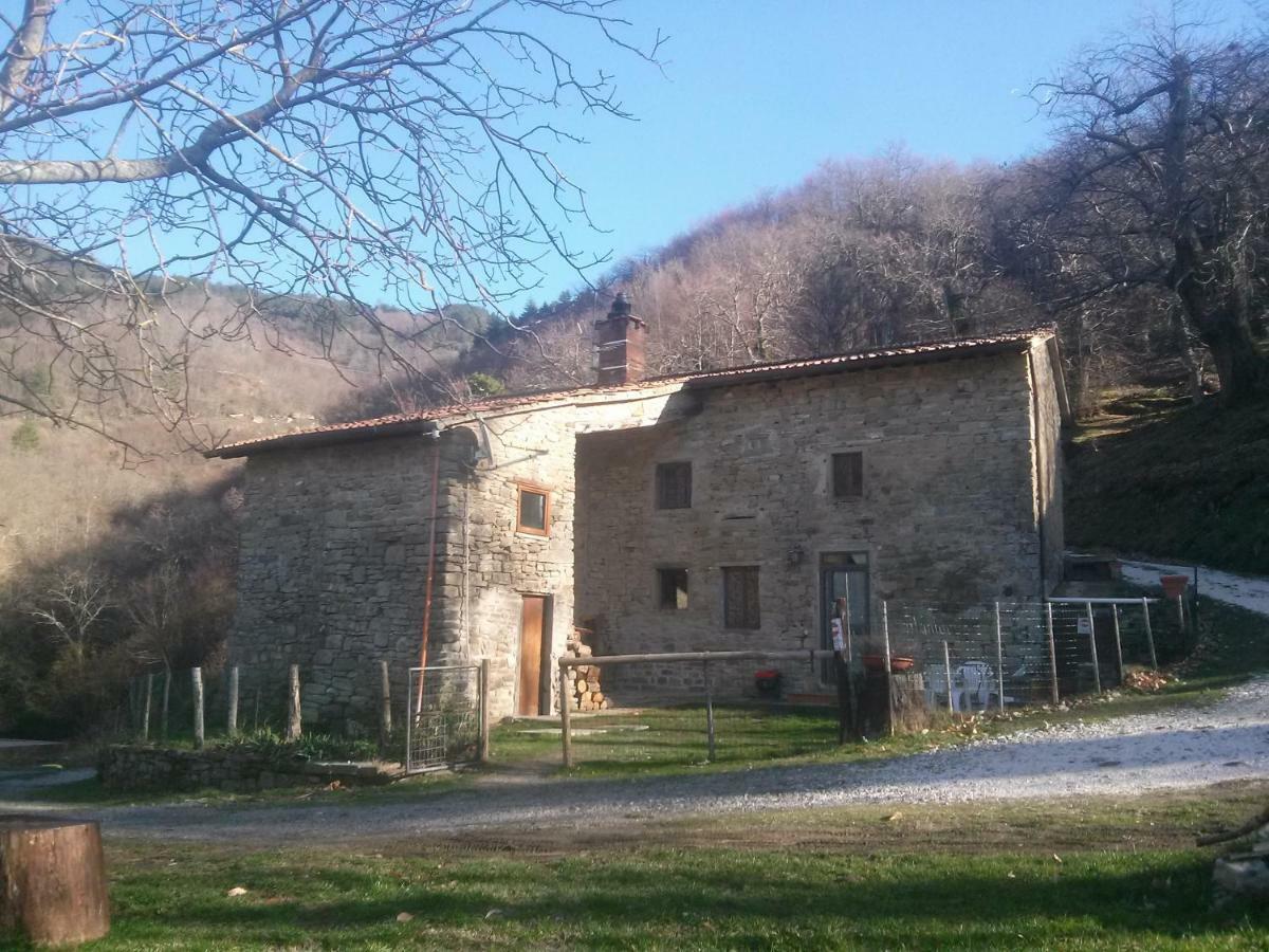 Mimmo'S Holiday House San Godenzo Екстер'єр фото