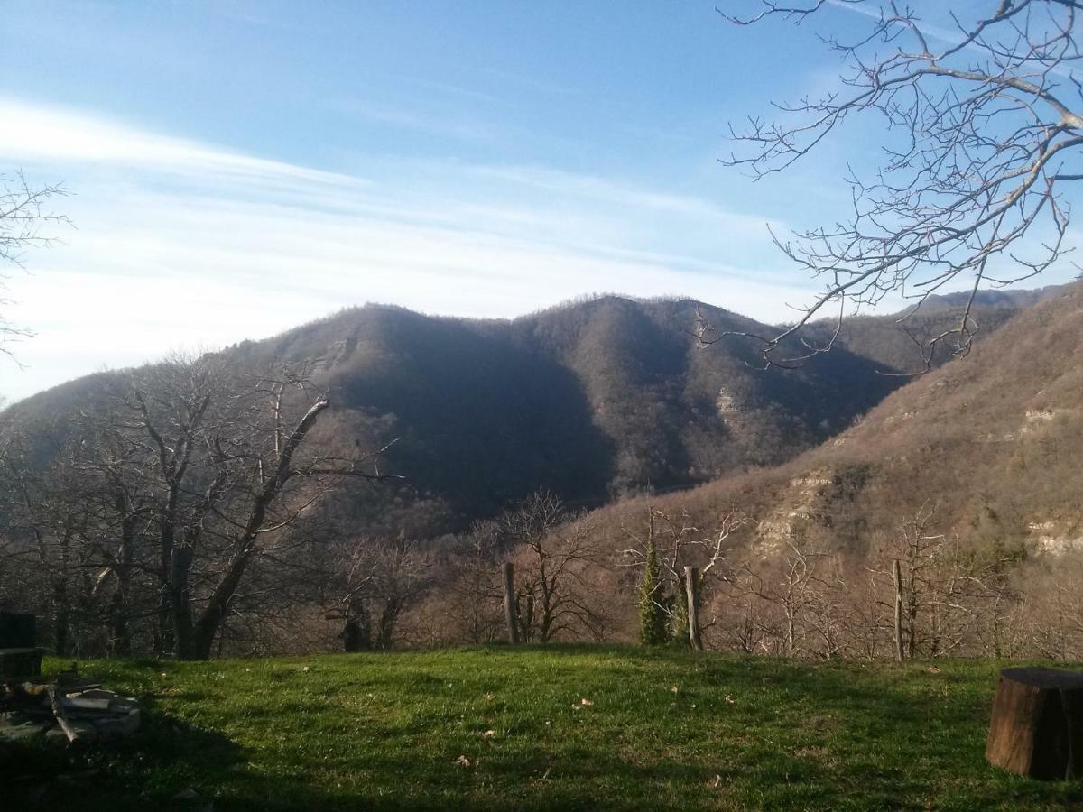 Mimmo'S Holiday House San Godenzo Екстер'єр фото